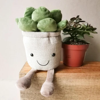 Soft toy "Succulent in a pot"