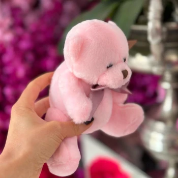 Soft toy - bear